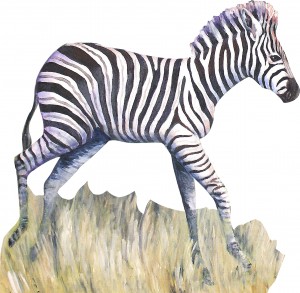 Lille zebra    100 x 100 cm   950 kr