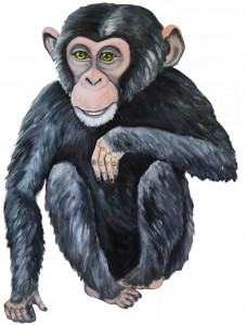 Siddende chimpanse 500 kr